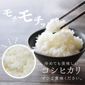 【 令和7年産】つやつや光るコシヒカリ 10kg 菊池農園｜茨城県 大子町 お米 白米 精米 産地直送 米 もちもち（CL002-1）