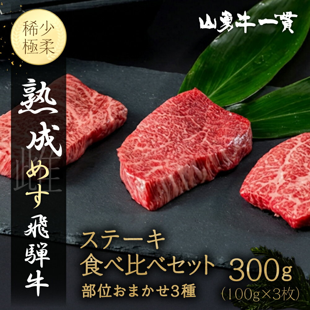 【ふるさと納税】 飛騨の牧場で育った熟成飛騨牛『山勇牛』 部位おまかせ 3種 ステーキ 100g×3 計300g 食べ比べ セット A4 A5 牛肉 肉 和牛 国産 飛騨牛 ［Q3225］30000円 3万円