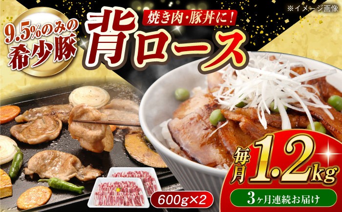 
                  【月1回約1.2kg×3回定期便】大西海SPF豚 背ロース（焼肉用）計約3.6kg 長崎県/長崎県農協直販 [42ZZAA073]
                