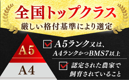 【全国有数のブランド牛】佐賀牛 しゃぶしゃぶ 食べくらべ セット C  計1kg 【JAさが 杵島支所】[HAM077]黒毛和牛 牛肉 豚肉 しゃぶしゃぶ用 肉