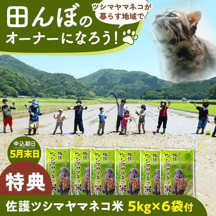 【ふるさと納税】対馬 佐護 ツシマヤマネコ 米 田んぼオーナー1年権【ツシマヤマネコ米30kg付き】（対馬市）【一般社団法人MIT】 米作り体験 田植え 体験 稲刈り 離島 チケット 新米[WAP015]