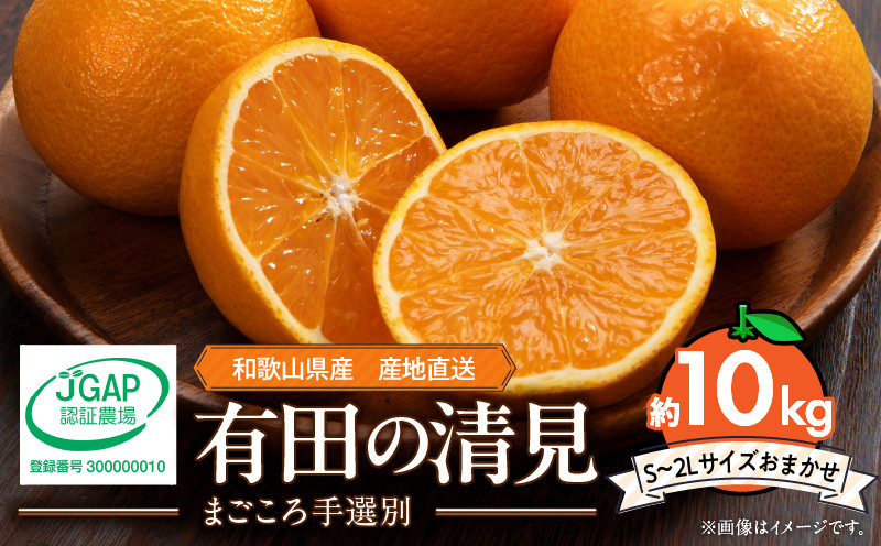 
                  和歌山県産 有田の 清見 10kg (S～2Lサイズ)【サイズおまかせ】【まごころ手選別】_ZE6366n
                