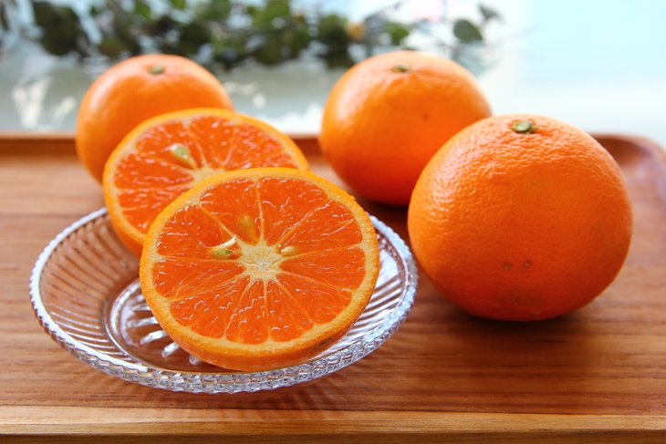 ZS6142n_主井農園 高級 カラマンダリン 青秀 2.5kg