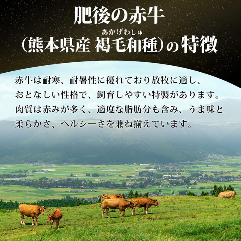 【阿蘇牧場】熊本県産「肥後の赤牛」すき焼き用 500g