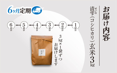 ＜6ヶ月定期便＞＜令和7年産＞ 京都夜久野産 清雫(せいな) コシヒカリ 玄米 (3kg×6回) ふるさと納税 福知山市 令和7年度産 先行 定期便 選べる 容量 回数 玄米 夜久野 京都 【fc-D