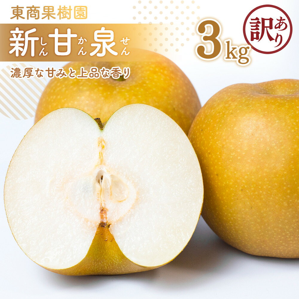 【ふるさと納税】東商果樹園 新甘泉 (訳あり) 3kg【8月下旬以降お届け】 | 梨 なし 鳥取県 おすすめ おいしい 果物 くだもの フルーツ