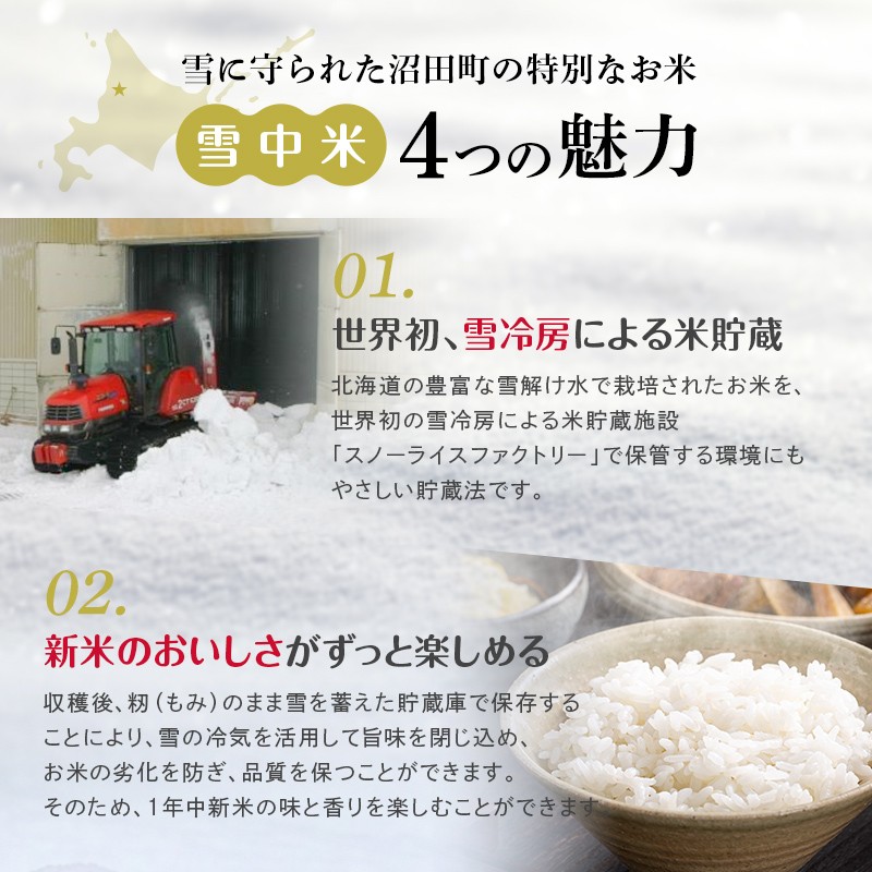 特Aランク米 ななつぼし 玄米 20kg（10kg×2袋）雪冷気 籾貯蔵 雪中米 北海道