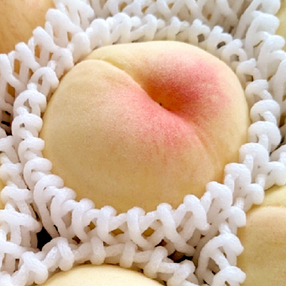 【ふるさと納税】白桃 約2kg（6～10玉） 早生 中生種 桃 もも モモ 岡山県 倉敷市 産 国産 フルーツ 果物 ギフト 花田青果　果物・もも・桃・フルーツ　【2026年6月下旬～7月下旬迄順次発送予定】