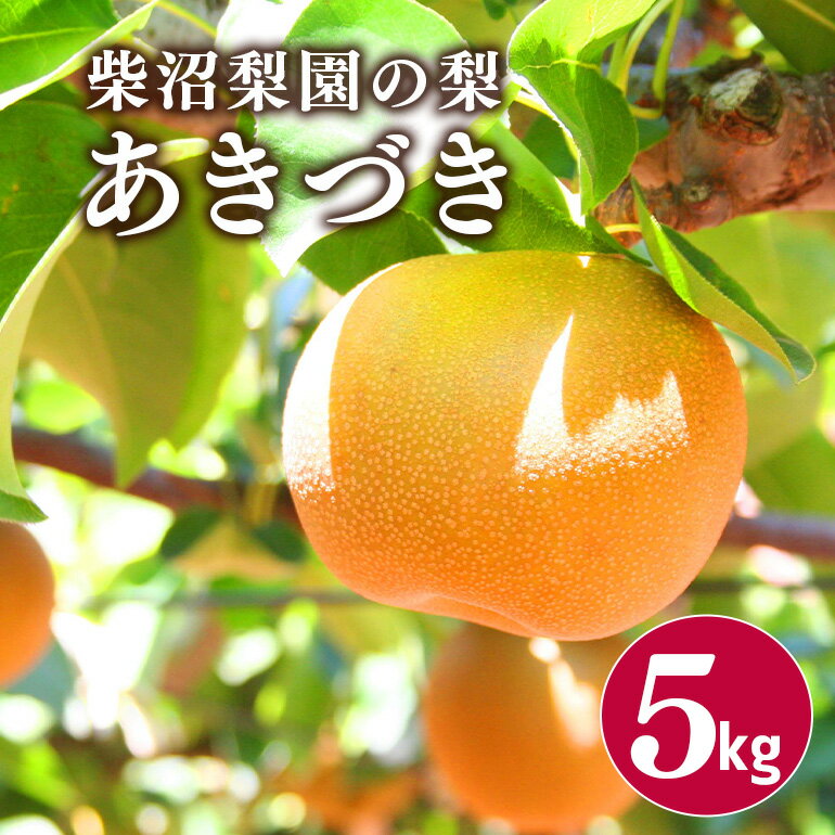 【ふるさと納税】柴沼梨園の梨（あきづき）5kg 大玉 10～16個入り ナシ なし 国産 茨城 秋 旬 フルーツ 果物 先行予約【9月上旬～9月中旬発送】秋の味覚 旬の果物 くだもの 大きい サイズ 品種 あきづき 産地 茨城県産 家庭用 梨園直送 茨城県 笠間市 送料無料