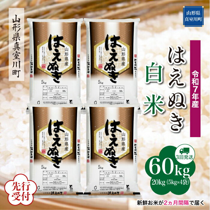 【ふるさと納税】 ※先行受付※ 令和7年産 真室川町厳選 はえぬき ［白米］ 60kg 定期便（20kg×3回お届け）