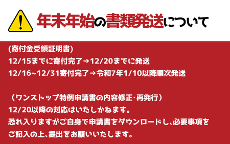 日間賀島 味付 海苔 島のり 3本 【12月25日までのご寄付で 年内発送可】 家庭用 自宅用 贈答 ギフト プレゼント 味付け のり 魚介 海の幸 愛知県 南知多町 国産 ご飯 ごはん おかず つま