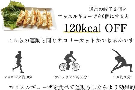 MUSCLE GYOZA ~マッスルギョーザ～ 3パックセット | 餃子 ギョーザ ダイエット マッスルギョーザ 長野県 松本市 信州産 ふるさと納税
