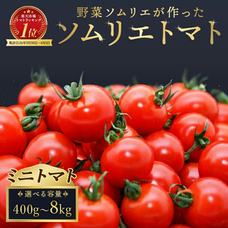 【ふるさと納税】【特別栽培農産物】ミニトマト ソムリエトマト ダイヤ プラチナ 熊本 玉名 トマト ミニトマト とまと 生産者直送 産地直送 送料無料 レッドアップ メール便 置き配