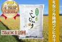 【ふるさと納税】【令和6年産新米】≪12回定期便≫ミネラル栽培コシヒカリ 5kg×12回 計60kg 白米 精米 井上米穀店