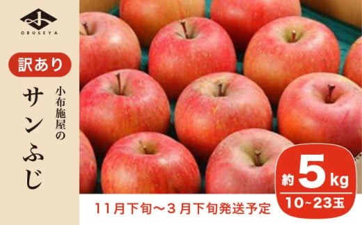 サンふじ 長野県産 約5kg 10～20玉 訳あり 小布施屋