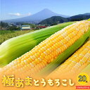 【ふるさと納税】 ＜2025年先行予約＞【富士山の麓で育つ】山梨県富士河口湖町産Inakakaraとうもろこし「ドルチェドリーム」20本入 ふるさと納税 人気 おすすめ ランキング とうもろこし ドルチェドリーム トウモロコシ コーン 山梨県 富士河口湖町 送料無料 FBA009