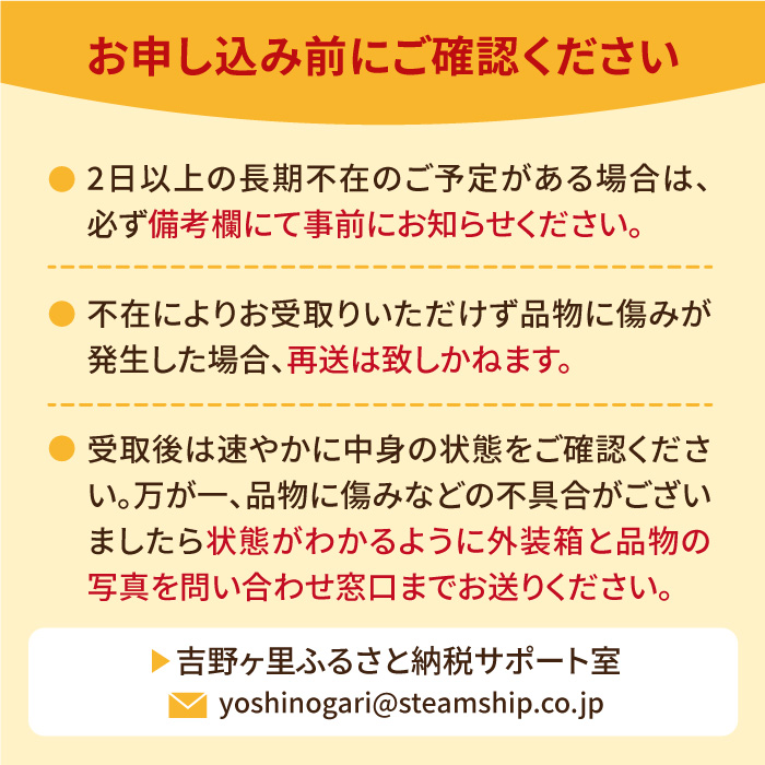 【1月中旬〜2月中旬発送】やさしい味わい！いちごさん 平パック×4P 約1kg いちご イチゴ 佐賀県産 佐賀県 佐賀 パック 吉野ヶ里町/リエンサーク [FCC003]