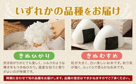 米 こめ きぬひかり きぬむすめ 5kg 東菜穀農園 《9月下旬-3月末頃出荷》 米米米