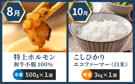 【越前おおの季節の恵み定期便　6回コース】　Bコース（偶数月・全6回お届け）