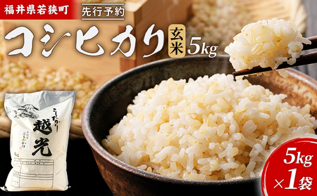コシヒカリ 令和8年産 一等 玄米 5kg 神谷農園 コシヒカリ
