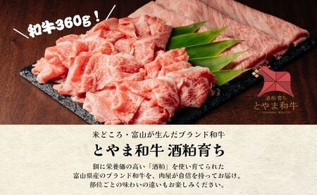 とやま和牛酒粕ごぼ鍋セット　2～3人前 鍋 牛 野菜 詰め合わせ 高岡市