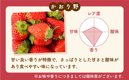 【先行予約 2027年1月～発送】 いちご かおり野 400g（化粧箱入り）いちご