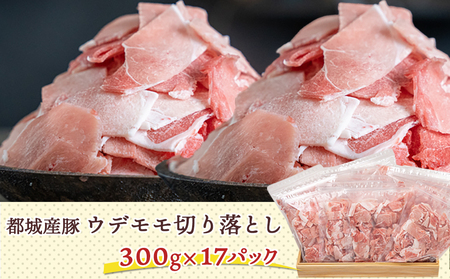 国産豚切り落とし5.1kg(ジッパー付袋入り)_16-1502_(都城市) 国産豚肉 総重量5kg超え切落とし(300グラム×17パック) チャック付き (都城市)小分け 冷凍 省スペース ウデ肉/モ