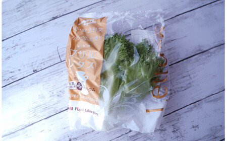 カルシウム&ポリフェノールリッチレタスMix（10袋セット）