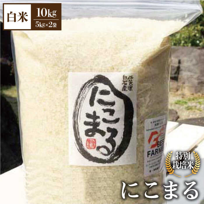 【ふるさと納税】【先行予約 2026年10月～発送】 令和8年産 新米 こだわりの にこまる 10kg（白米）【白浜農産】米 お米 農家直送 特別栽培 特別栽培米 減農薬 減化学肥料 高品質 佐賀県 白石町 白石 [IBL009]