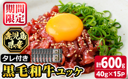 s705 《数量限定！》鹿児島県産黒毛和牛ユッケ(計600g・40g×15パック) 鹿児島 国産牛 九州産 牛肉 黒牛 生食用 小分け 冷凍 ユッケ 黒毛和牛 牛 【カミチク】