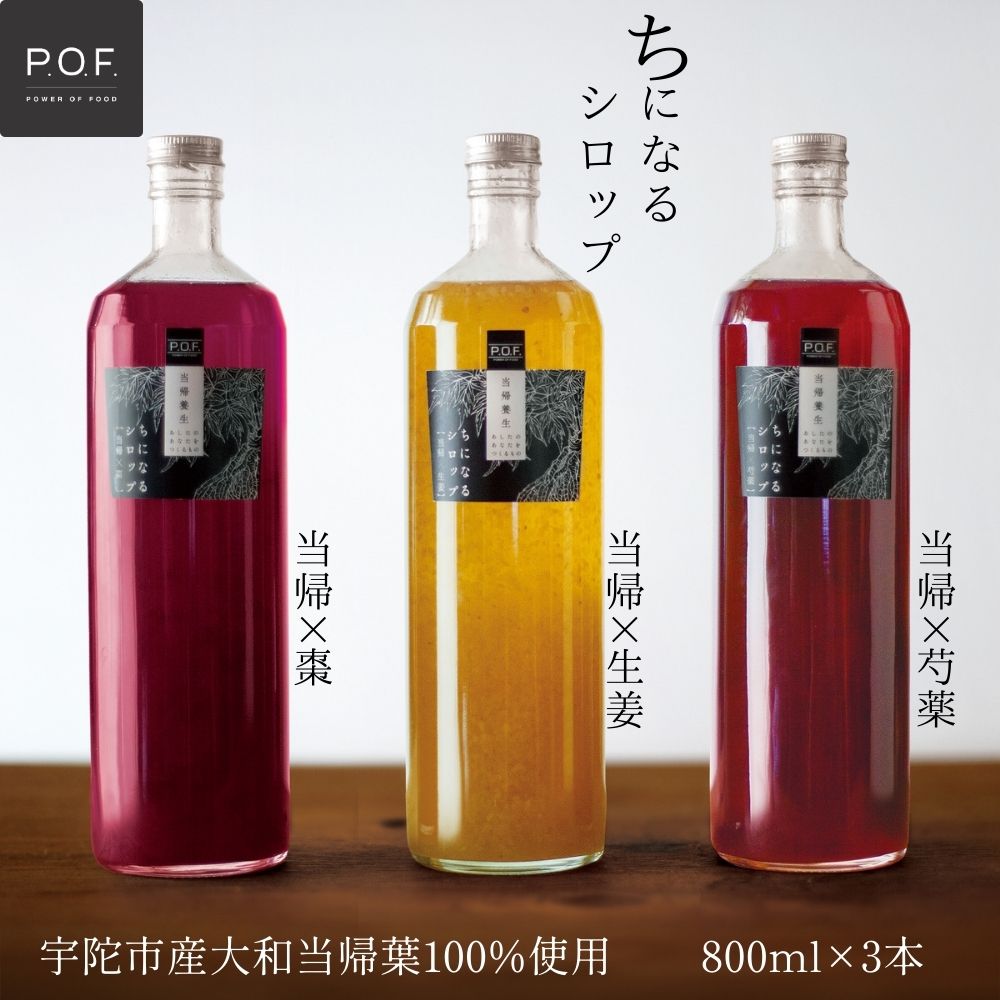 【ふるさと納税】ちになるシロップ ＜大和当帰＞800ml × 3種セット ／POWER OF FOOD ふるさと納税 芍薬 生姜 棗 シロップ 瓶 ガラス瓶 国産 食材 炭酸 大和当帰葉 有機 お湯割り 甜菜糖 ハチミツ はちみつ 送料無料 ち 奈良県 宇陀市