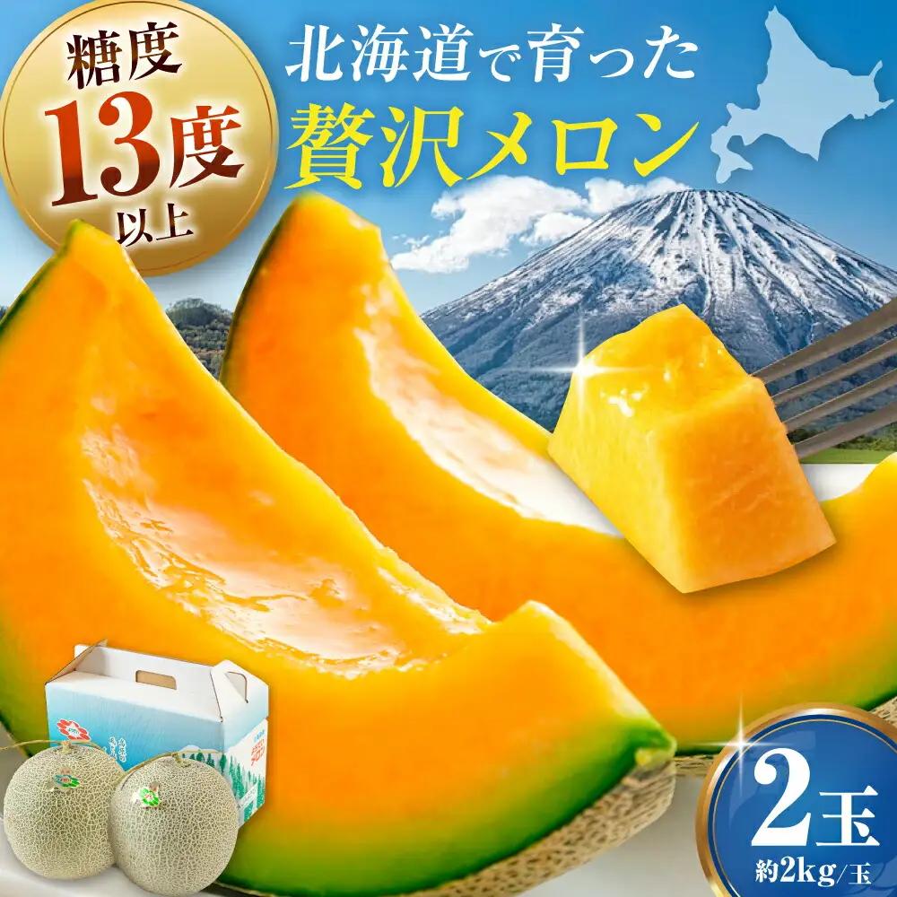 【先行予約】赤肉メロン2玉 [AJAK024] メロン 夏