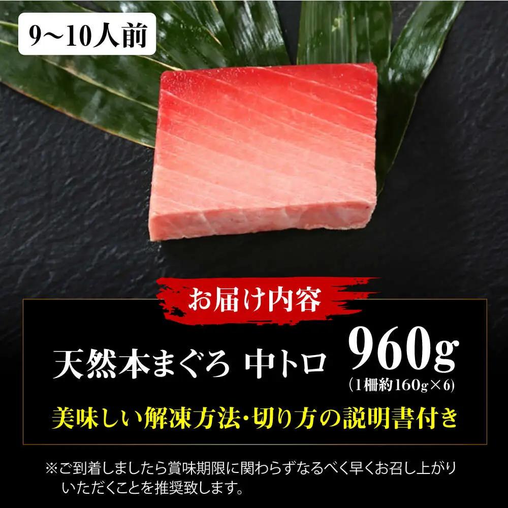 たね熟天然本まぐろ中トロ(960g)[AOCE011]まぐろ