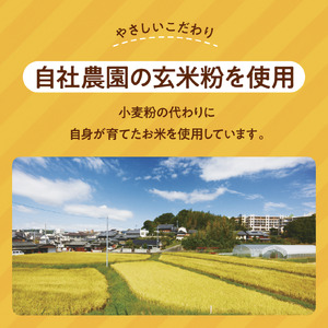 定期グルテンフリー バターチキンカレー 180g×2袋毎月×10回コース N-11