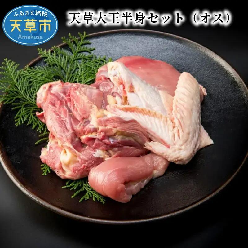 S081-012A_天草大王半身セット（オス）