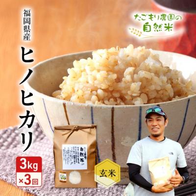 ふるさと納税 小郡市 定期便 3ヶ月 米 たごもり農園の自然米 ヒノヒカリ 玄米 3kg お米[No5354-2132]