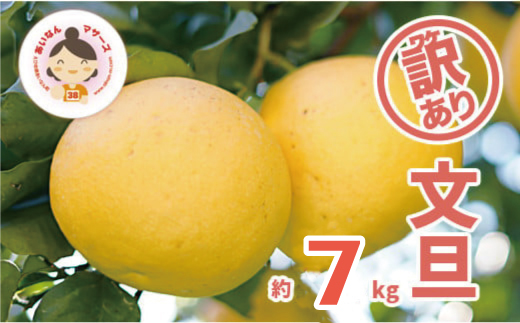 先行予約 訳あり 文旦 7kg （Mサイズ以上 サイズミックス） 7000円 ぶんたん みかん mikan 蜜柑 ミカン 家庭用 産地直送 国産 農家直送 減農薬 糖度 期間限定 数量限定 特産品 ゼリー ジュース アイス 人気 限定 甘い 果実 果肉 フルーツ 果物 柑橘 先行 事前 予約 受付 ビタミン 健康 美味しい おいしい ジューシー サイズ ミックス あいなんマザーズ 愛南町 愛媛県