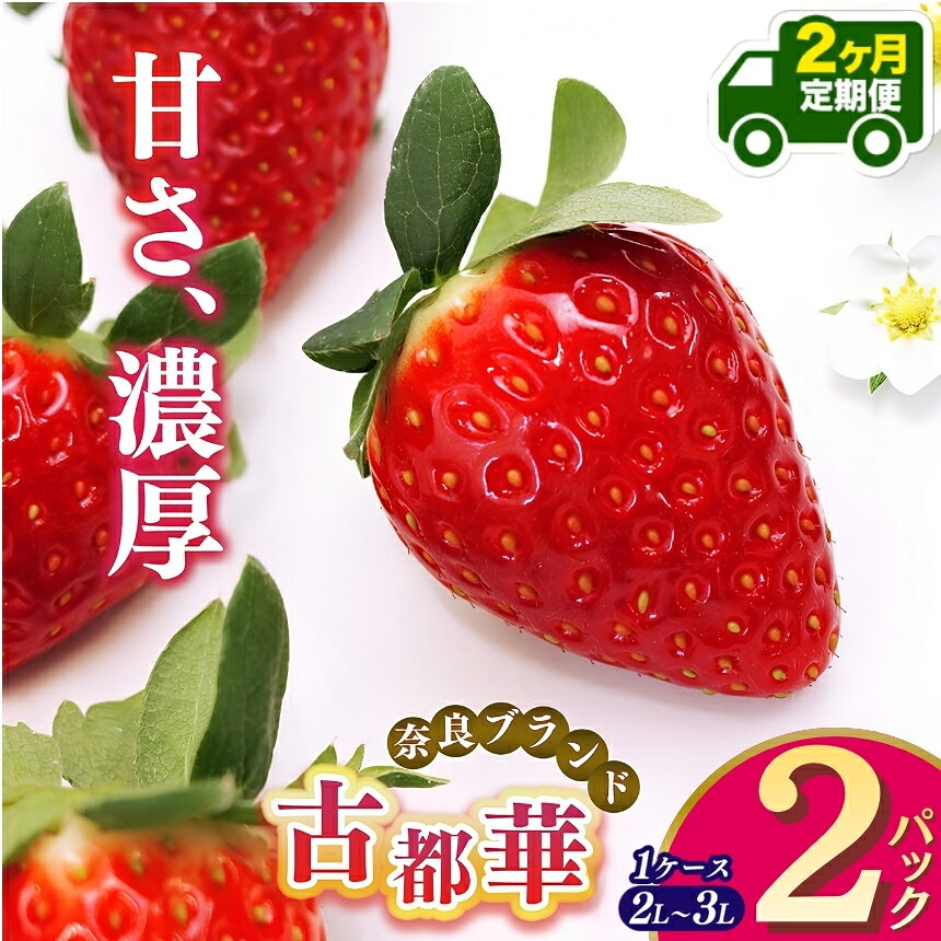 【ふるさと納税】【定期便2回】平群の古都華 2L～3Lサイズ （2パック 1ケース） 計2パック | 先行予約 1月 2月 お届け いちご 苺 古都華 フルーツ 果物 くだもの ブランド 苺 甘い 大人気 旬 送料無料 濃厚 産地直送 辻本農園 奈良県 平群町