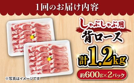 6回定期便 大西海SPF豚 背ロースしゃぶしゃぶ 計1.2kg 訳あり ＜大西海ファーム＞CEK095 しゃぶしゃぶ