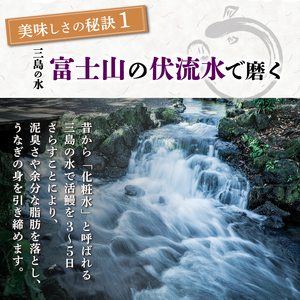 【2025年12月～順次発送】《数量限定》うなぎ蒲焼 2人前 2尾 冷蔵 三島名物 老舗 鰻問屋 うなぎ 蒲焼き 鰻 ウナギ 真空パック 浜名湖 土用丑の日 贈答用 惣菜 うな重 うな丼 伝統 贈り物