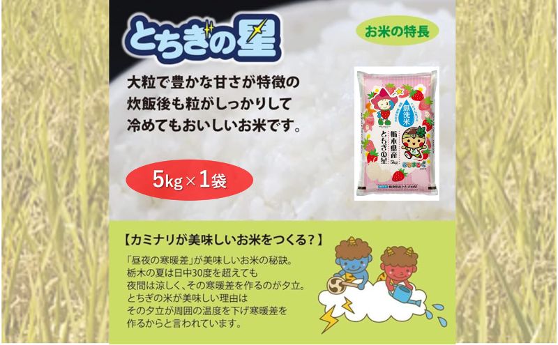 栃木県鹿沼市産 とちぎの星 無洗米 5kg 令和6年産 水稲うるち精米 単一原料米 お米  特A 大粒