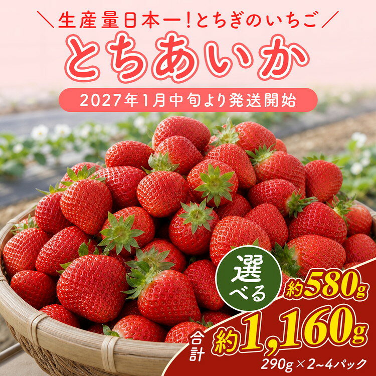 【ふるさと納税】＼選べる内容量／《数量限定》【先行予約】いちご 厳選！さくら市産 とちあいか 290g×2パック・290g×4パック 苺 イチゴ デザート フルーツ スイーツ 栃木県 果物 くだもの新鮮 大粒 ※2027年1月～発送