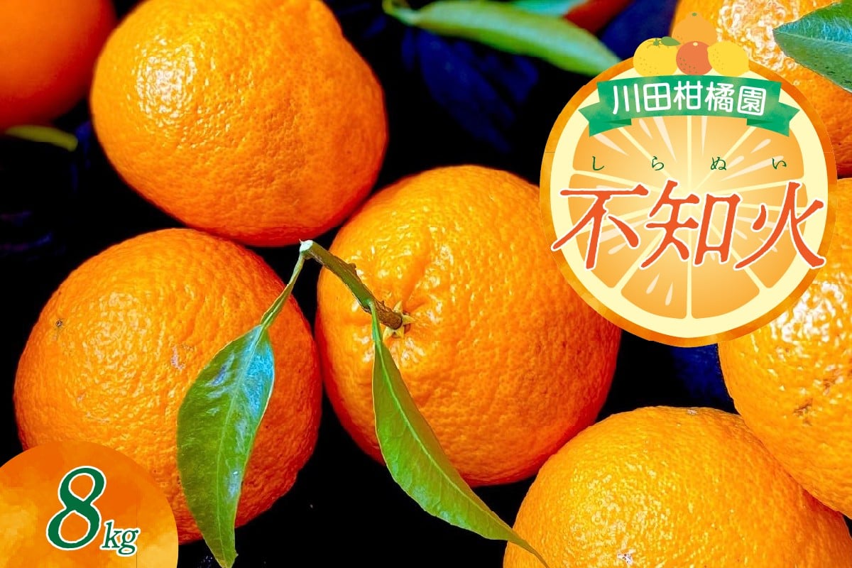 
            【2026年2月中旬～発送】川田柑橘園 呉市大長産 「不知火（しらぬい）」８kg ku055-013-25
          