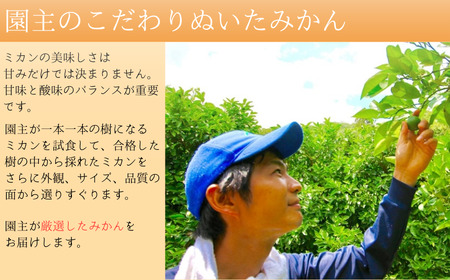 みかん ミカン 柑橘 和歌山県 有機 手選別 / あま～い！ カツオの有機肥料が味の決め手！ 「きみの完熟ミカン」 約4.5kg(40~60個程度) サイズ混合 2S~M ご家庭用(秀優混合)【kmf