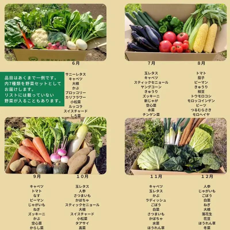 【定期便全3回】朝採れおまかせ旬の高原野菜 7種セット (出荷時期 : 2026年6月～12月／北海道・沖縄県・離島は配送不可) 【 産地直送 高原野菜 産直 季節の旬の野菜 農薬 化学肥料 不使用 