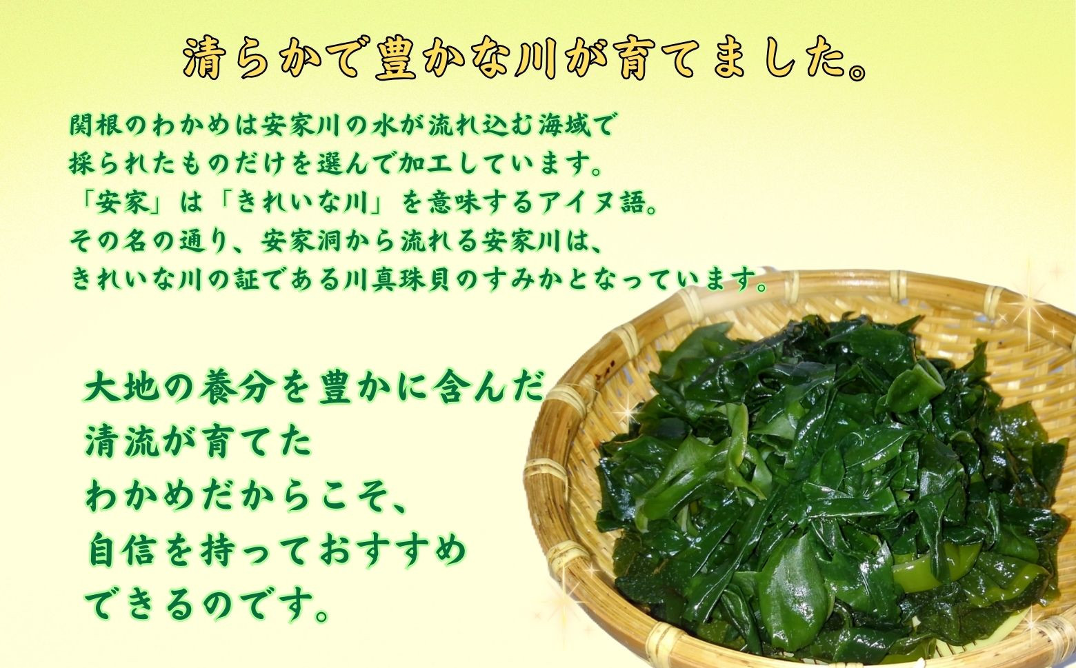 三陸産のワカメは肉厚でしっかりとした歯ごたえが特徴です