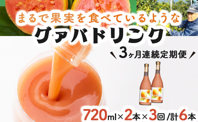 
KU110 【定期便・全3回】まるで果実を食べているような！グァバドリンク２本セット(各720ml)×3回【宮崎果汁】
