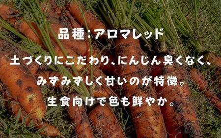 にんじん 3㎏ 人参 野菜 | 石川県 小松市 JAあぐり