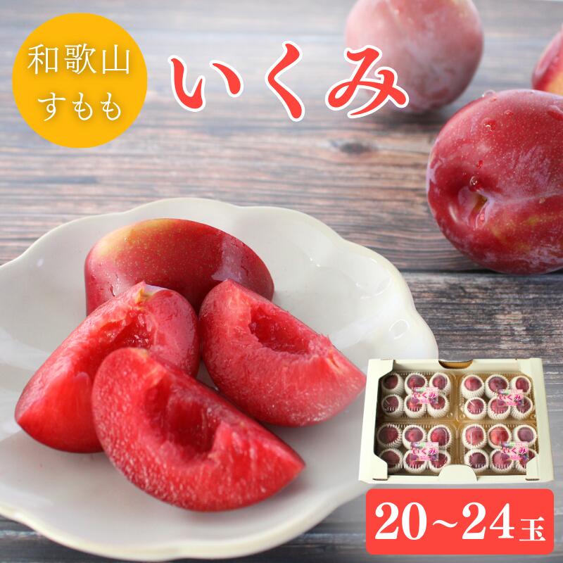 【ふるさと納税】 ＜先行予約＞すもも（いくみ）4パック ※2026年6月上旬～6月中旬頃に順次発送予定【期間限定・数量限定】 / スモモ プラム 冷蔵 季節限定 お取り寄せ 産地直送 贈答品 ギフト 果物 フルーツ 田辺市 和歌山県