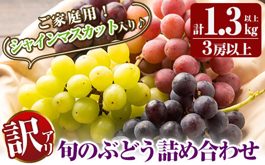 
A0-248 ＜期間限定！2024年8月下旬～10月末までに発送予定＞《訳あり・数量限定》シャインマスカット入り旬のぶどう・ご家庭用詰め合わせ(計1.3kg以上・3房以上)【二月田ぶどう園】
